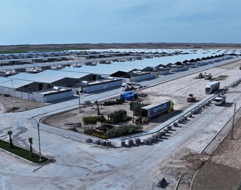 مسلخ - مشروع ميكال